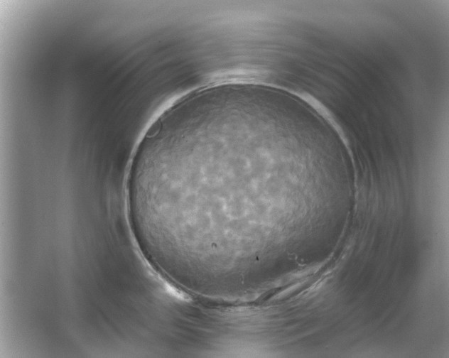 X0000067351341200604071415