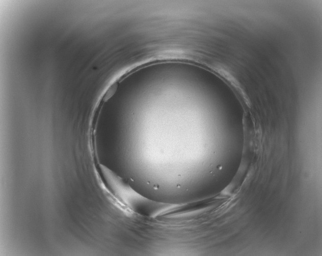 X0000067351342200604071415