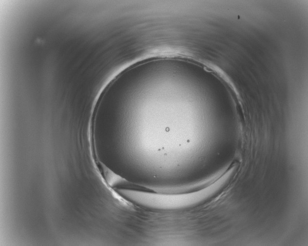 X0000067351343200604071415