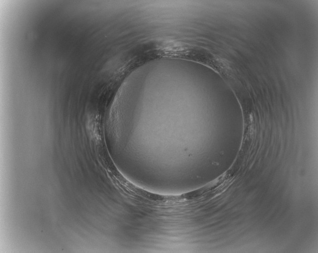 X0000067351346200604071415