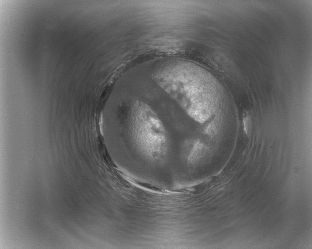 X0000067351347200604071415