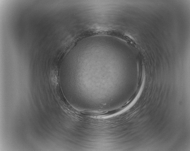 X0000067351348200604071415