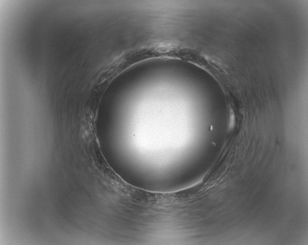 X0000067351349200604071415