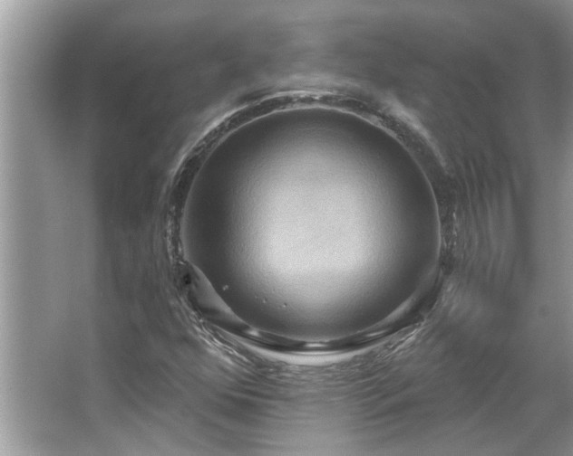 X0000067351352200604071415