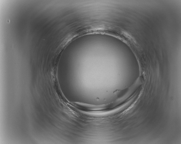 X0000067351353200604071415