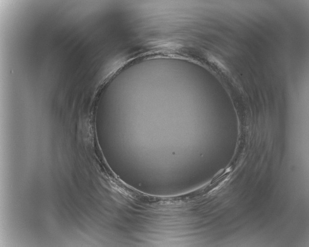 X0000067351354200604071415