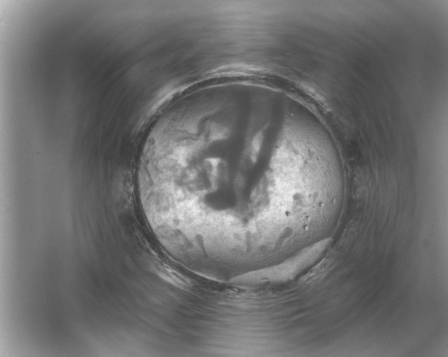 X0000067351355200604071415