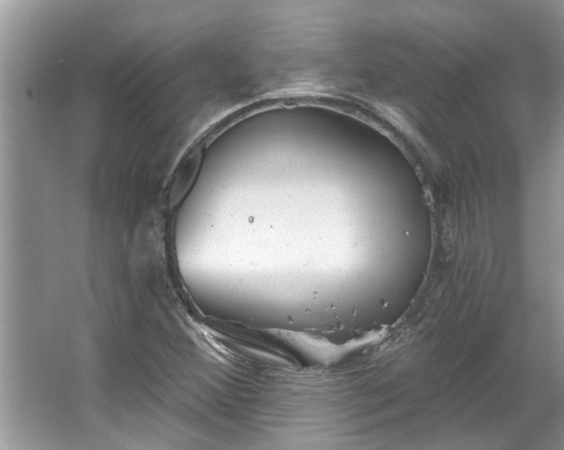 X0000067351356200604071415