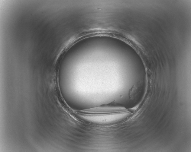 X0000067351357200604071414