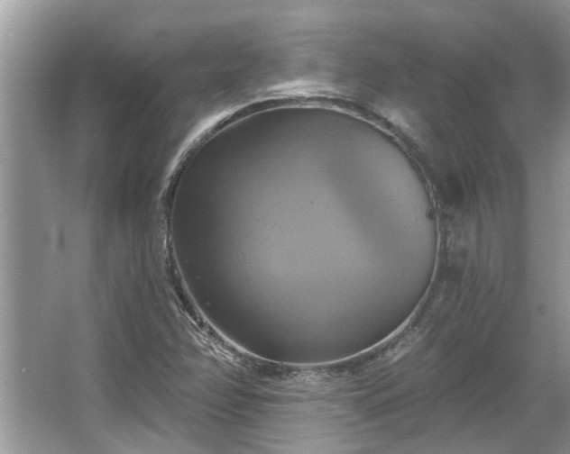 X0000067351358200604071414