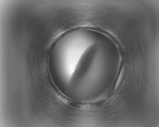 X0000067351359200604071414