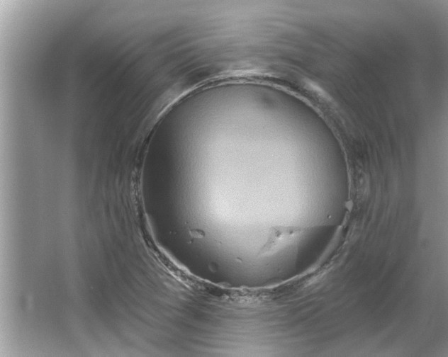 X0000067351361200604071414