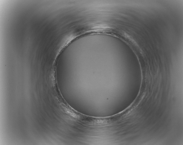 X0000067351362200604071414