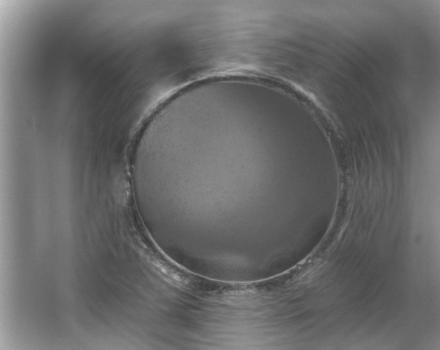 X0000067351363200604071414