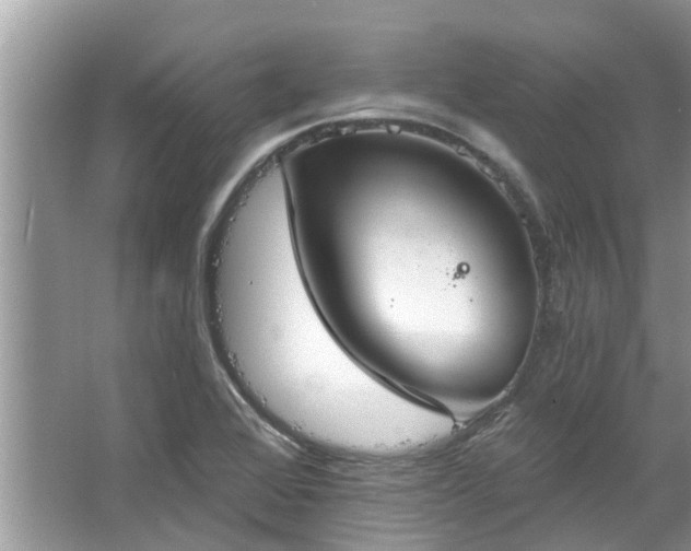 X0000067351368200604071414