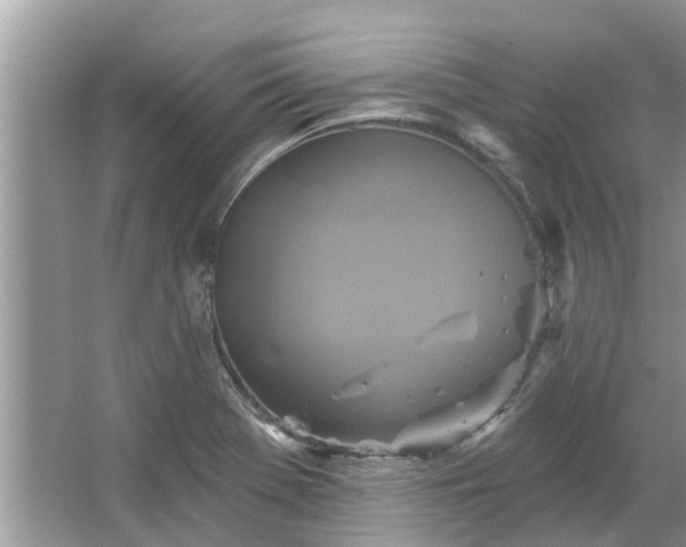 X0000067351369200604071414