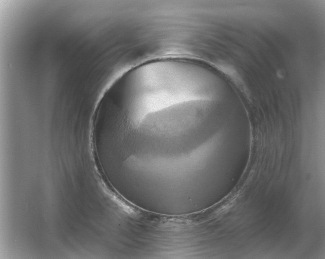 X0000067351374200604071414