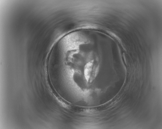 X0000067351375200604071414