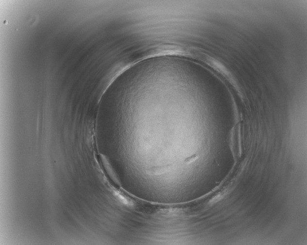 X0000067351377200604071414