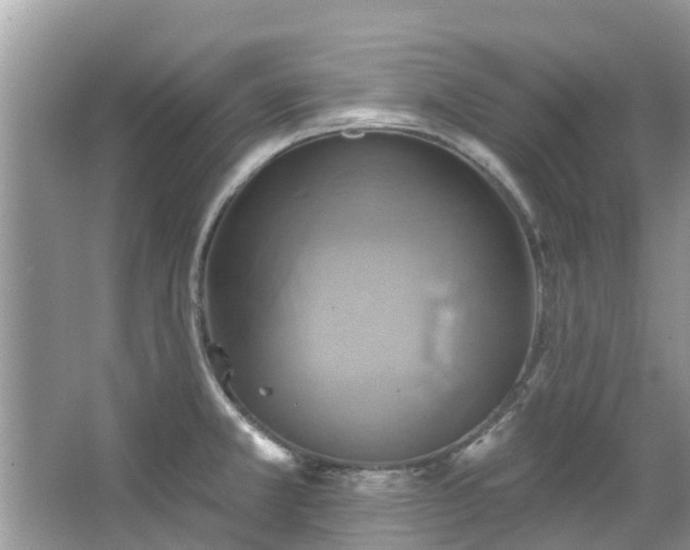 X0000067351381200604071414