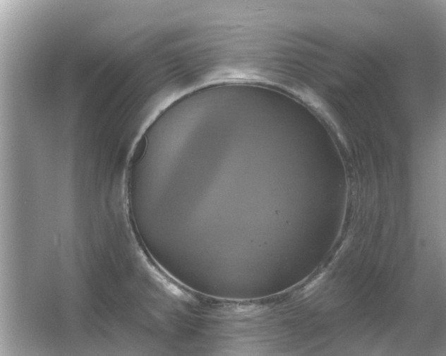 X0000067351382200604071414