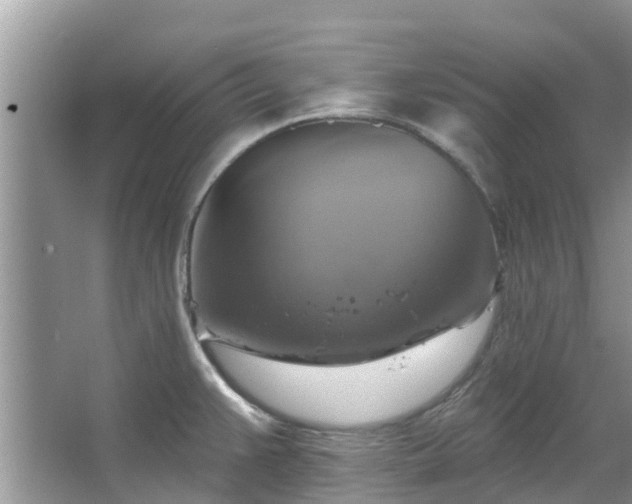 X0000067351383200604071414