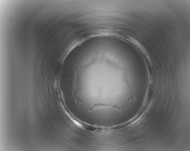 X0000067351385200604071414