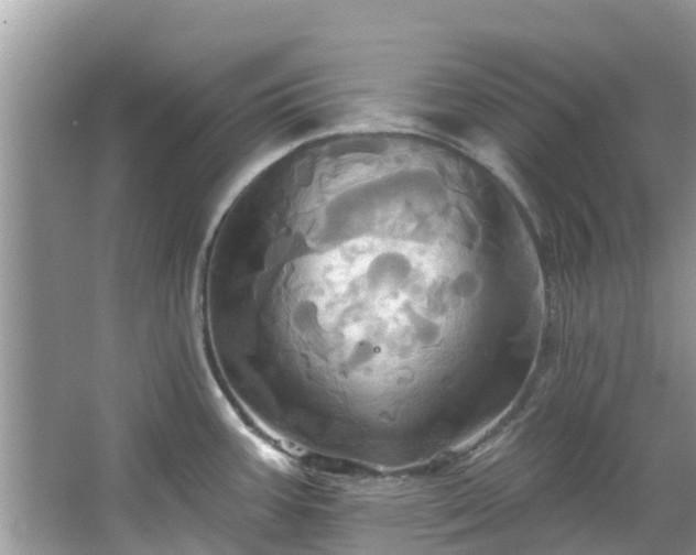 X0000067351387200604071414