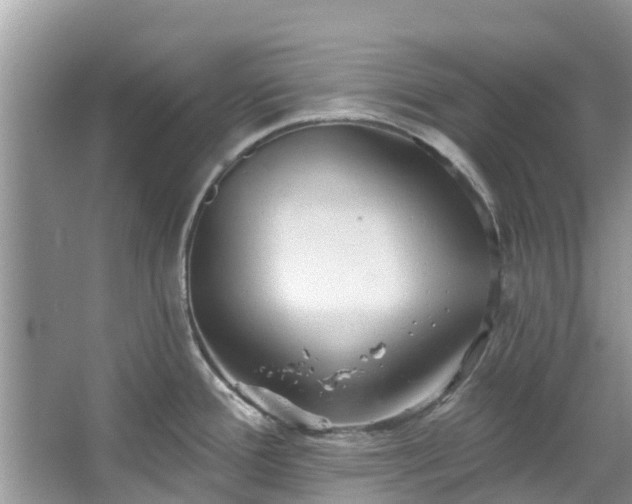 X0000067351388200604071414