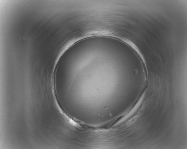 X0000067351389200604071414