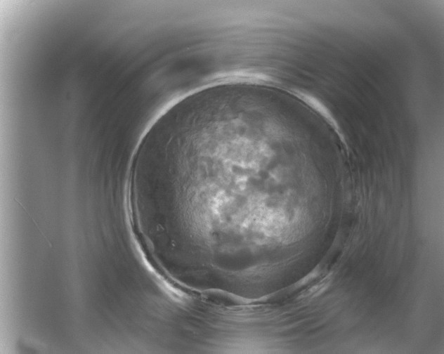 X0000067351391200604071414