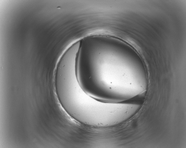 X0000067351392200604071414