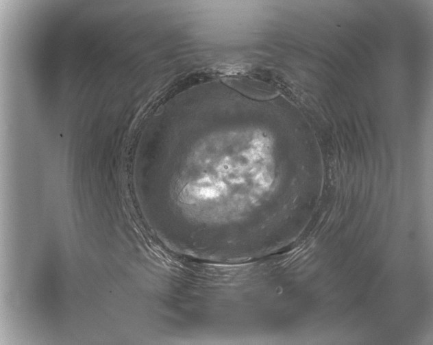 X0000067351393200604071413