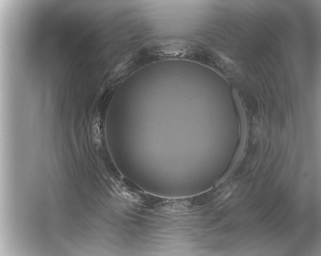 X0000067351394200604071413