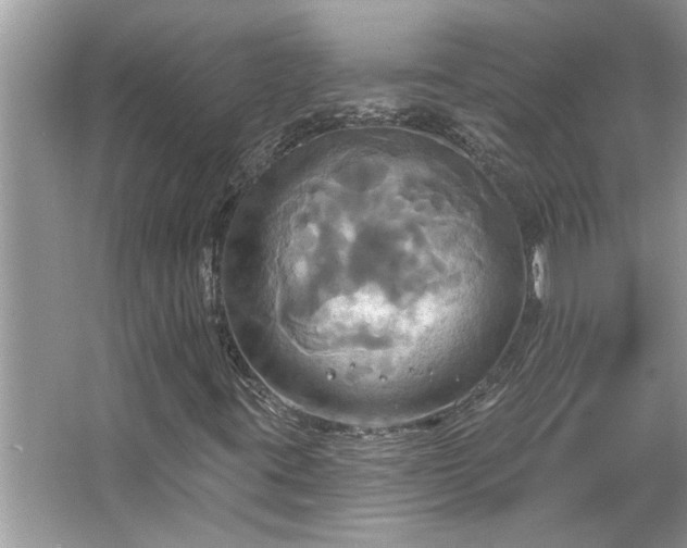 X0000067351395200604071413