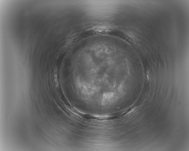 X0000067351396200604071413