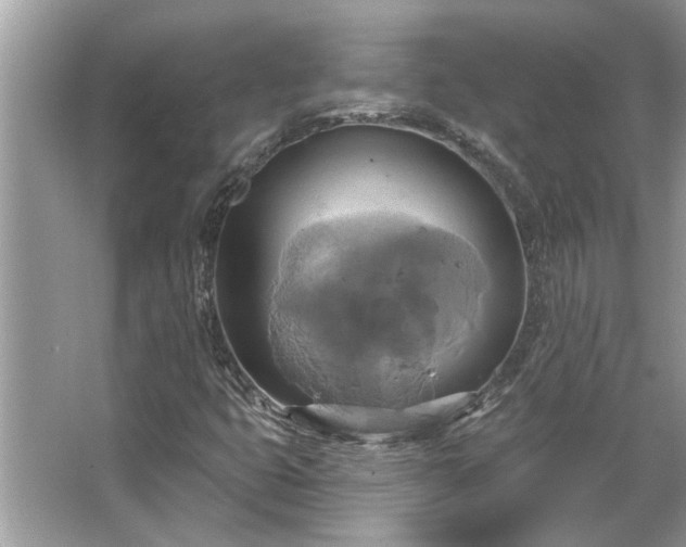 X0000067351399200604071413