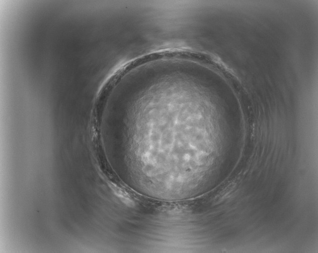 X0000067351400200604071413