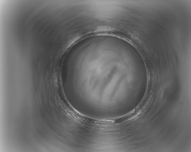 X0000067351401200604071413