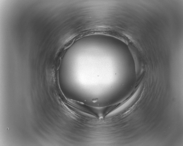 X0000067351402200604071413