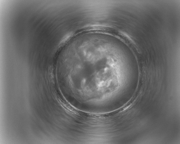 X0000067351403200604071413