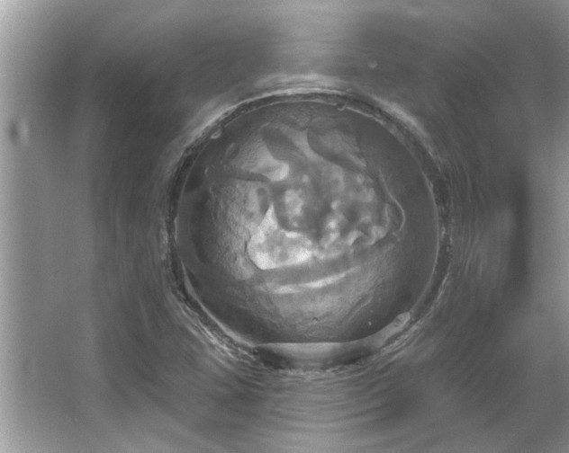 X0000067351407200604071413