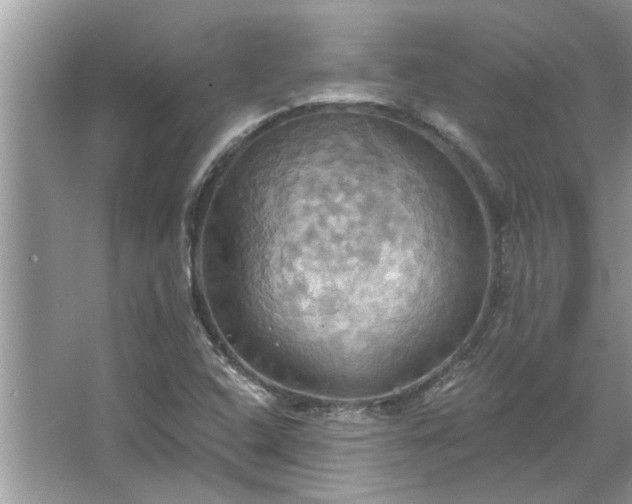 X0000067351408200604071413