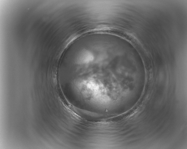 X0000067351409200604071413