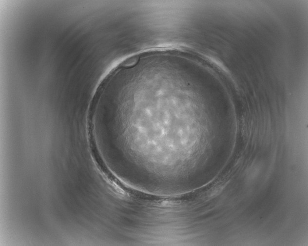 X0000067351412200604071413