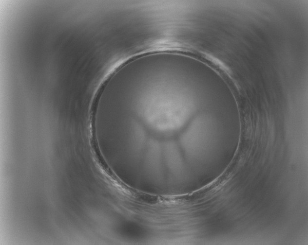 X0000067351415200604071413