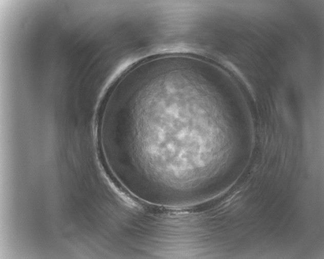 X0000067351416200604071413