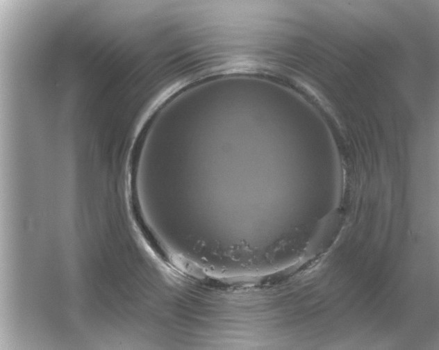 X0000067351418200604071414