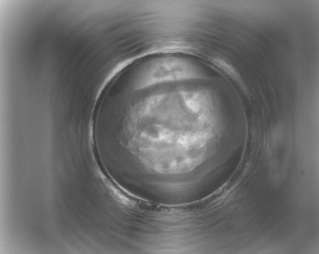 X0000067351420200604071414