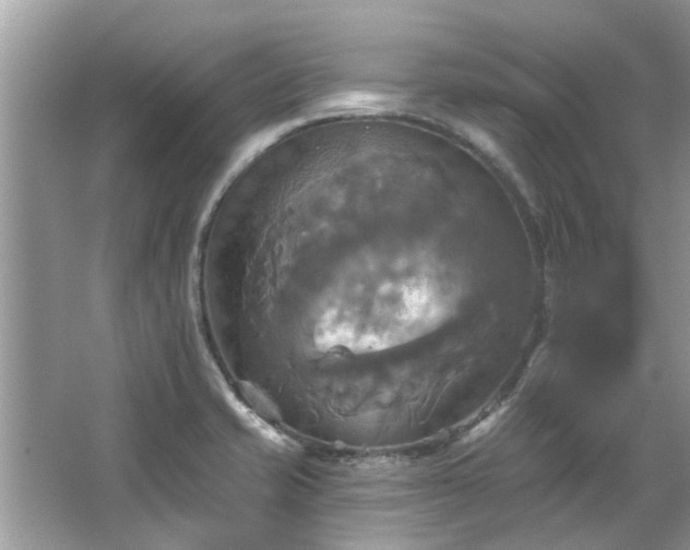 X0000067351421200604071414